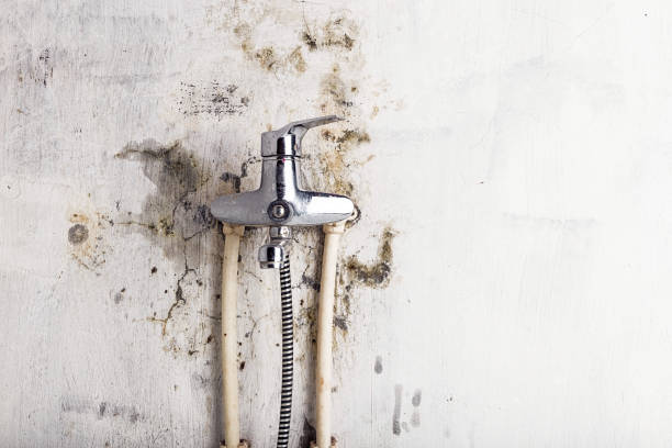 Best Commercial Mold Remediation in Clinton, NY